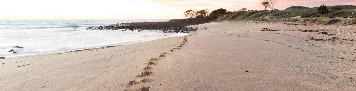 banner image of my footprints on a beach at sunset